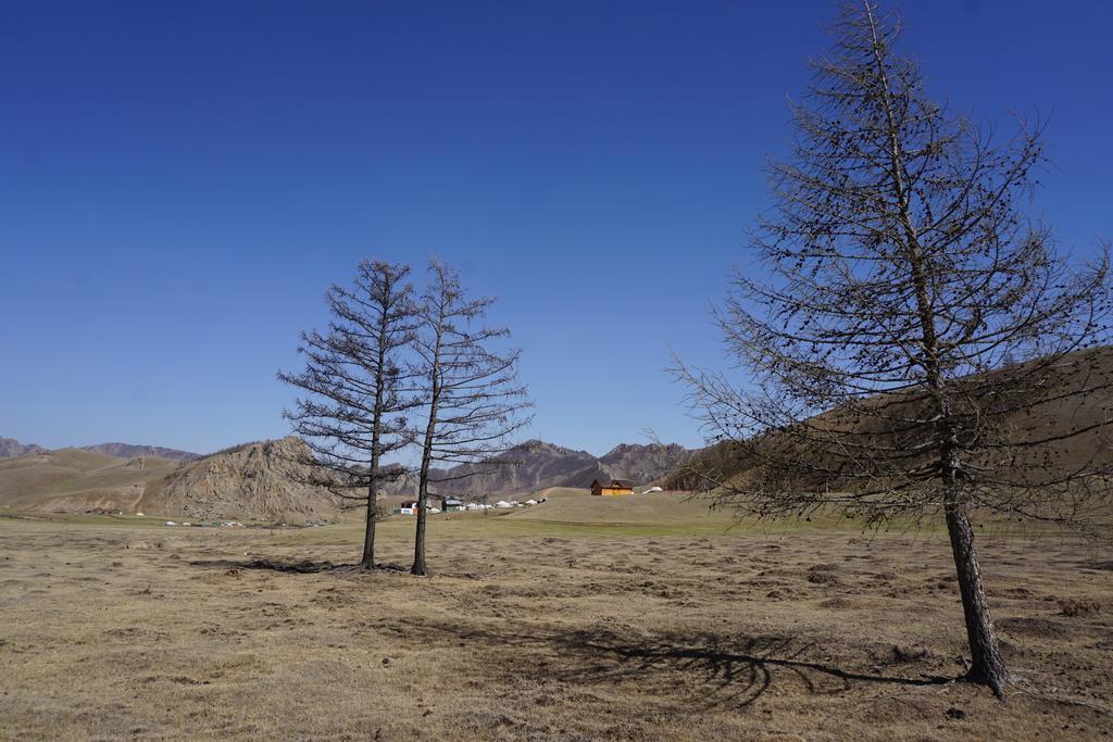 My Mongolia Eco Ger Camp Hotel Nalayh Exterior photo